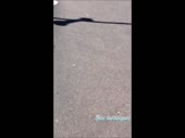  .webm