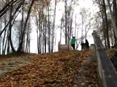  .webm