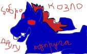pony.jpg
