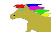 pony2.jpg