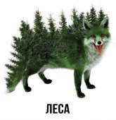 54819y7tyogyci10g00o0.png