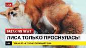 PdJruLoMqiI.jpg