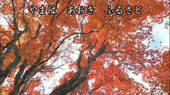 1533497426621.mp4