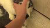 kbcz.mp4