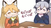 caracalezoredfoxreticulatedgiraffeandsilverfoxkemonofriends[...].webm