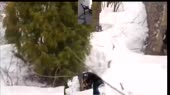 дебилсукаблять полька.webm