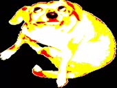 15371707938652.webm