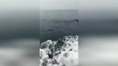 15366102368752.mp4
