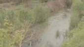 15341285417530.webm