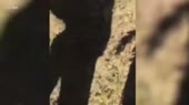  .webm