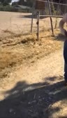  .webm