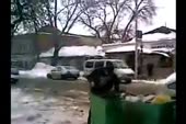 15379504609820.webm