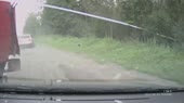 15379479611050.webm