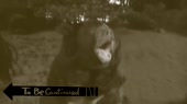  .webm