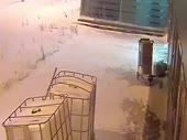  .webm