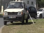 15380123127160.webm
