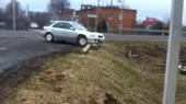  .webm