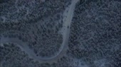  .webm