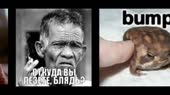 я ебу собак.webm