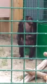  .webm