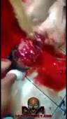 15322816200872.webm