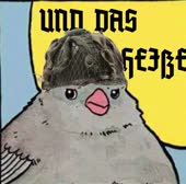 15346417922631.mp4