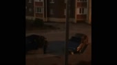  .mp4