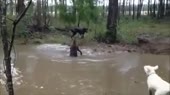 14250576719450.webm