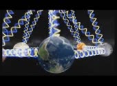 ЗимаНеБудет.webm