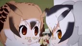 15374717334700.webm