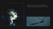 neurons.webm