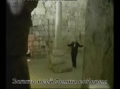 jewreptile.mp4