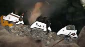 muc.mp4