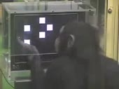 111.webm