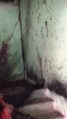 4ihnul.mp4
