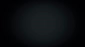 540540616109014.webm