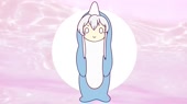 dolphin.mp4