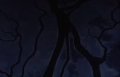 14986964987600.webm
