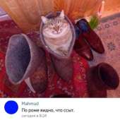 15293268296410.jpg