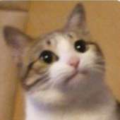 009ngEYeDPNHBo.jpg