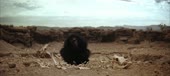Space Odyssey 2001 - Monkeys.webm