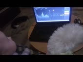 ...............................mp4