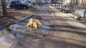 15419685717720.mp4