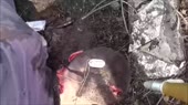 1543869840444.webm