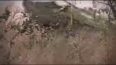 14337673153420.webm