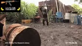 14365180598490.webm