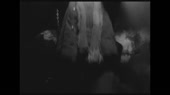 15414948576510.webm