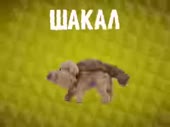 15255467624420.webm