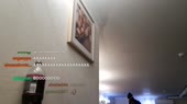 15443077951610.mp4