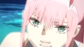 15464679718850.webm